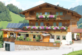 Hotel Sonne, Niederau, Österreich